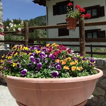 La Tour - Food, Bed & Mountain * Oyace